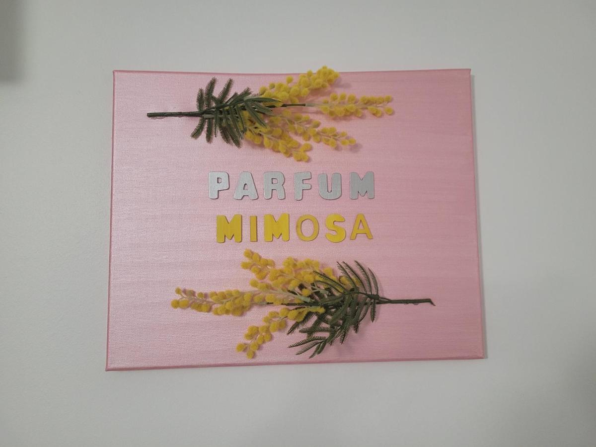 Parfum Mimosa Apartment Grasse Luaran gambar